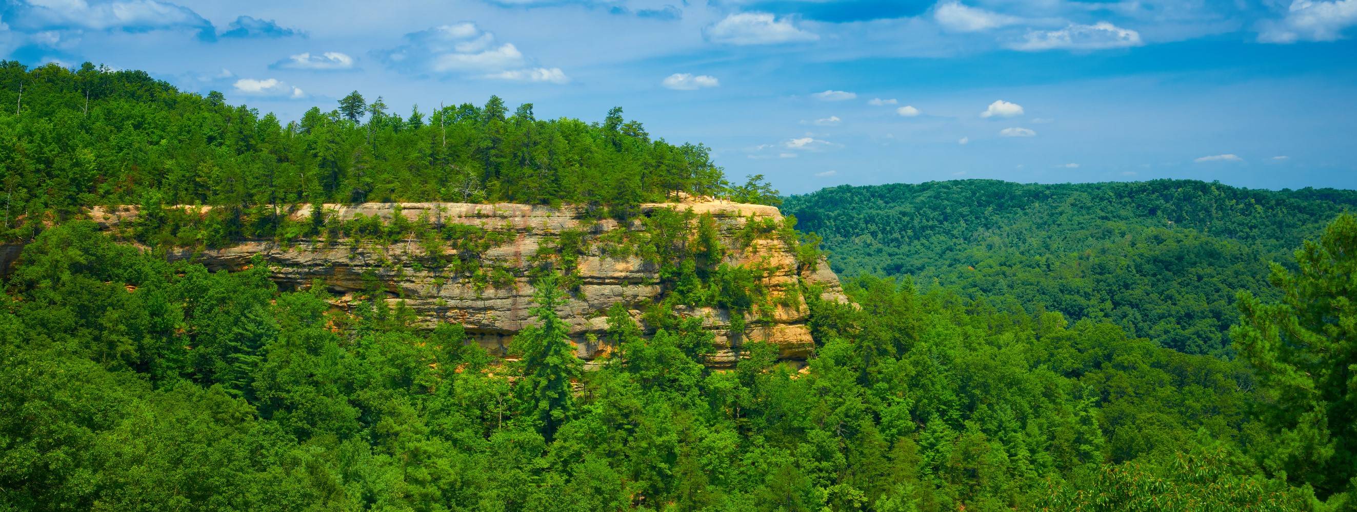 Red River Gorge West Liberty KY